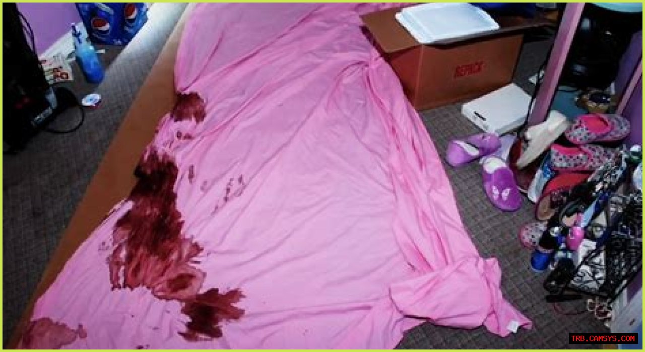 Dee Dee Blanchard Crime Photos: Unraveling The Disturbing Case