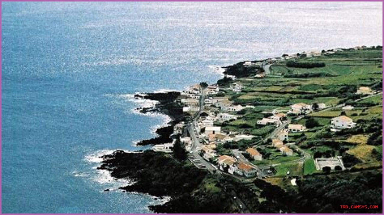 Mikayla Nogueira Obituary: Remembering The Life Of A Rising Star